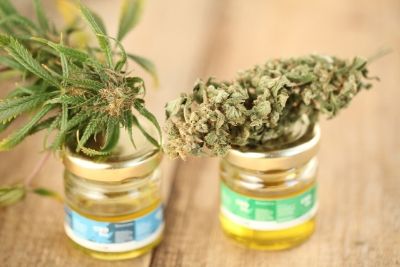 How CBD is extracted