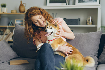 Is CBD Oil for Pets Recommended?